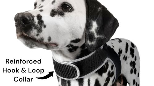 Collar Portable GPS Tracking Device for Pets w/ Perimeter Fence System Size:M