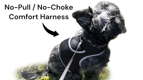 Efficient GPS Collar Tracking Device Waterproof Pet Locator for Cats Size:M
