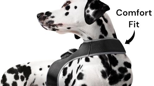 Rechargeable Dog Cat Realtime Mini Pet Locator GPS Collar Tracker NEW Size:L